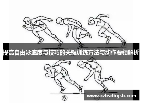 提高自由泳速度与技巧的关键训练方法与动作要领解析
