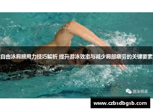 自由泳肩膀用力技巧解析 提升游泳效率与减少肩部疲劳的关键要素